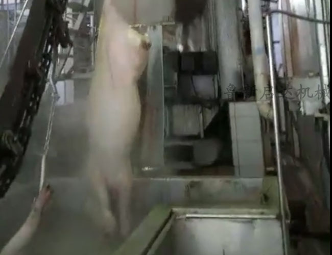 立式洗主機價格