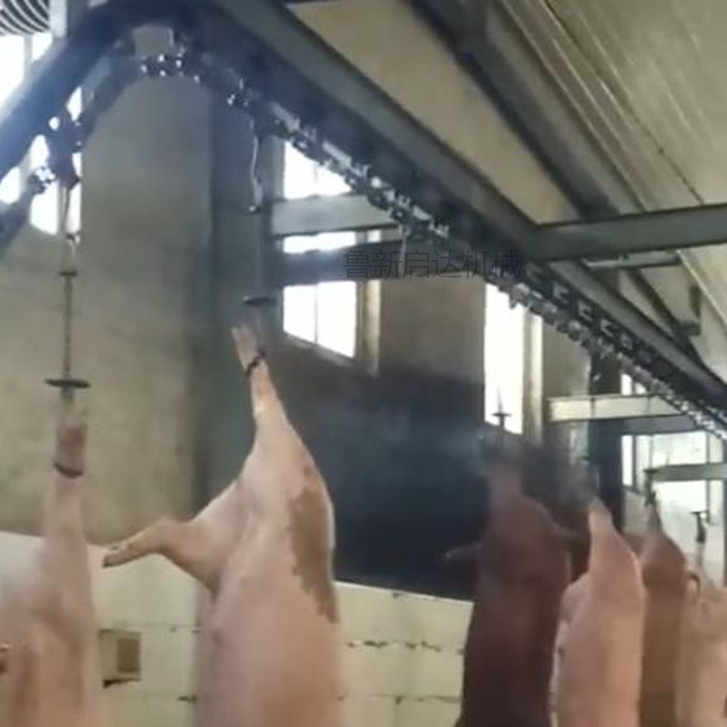 毛豬活掛機 毛豬活掛機